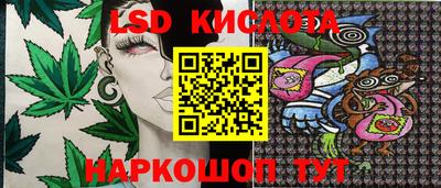 спиды Новозыбков