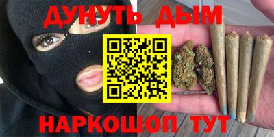 спиды Новозыбков